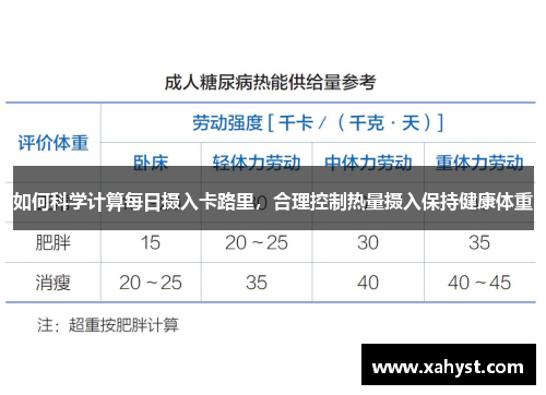 如何科学计算每日摄入卡路里，合理控制热量摄入保持健康体重